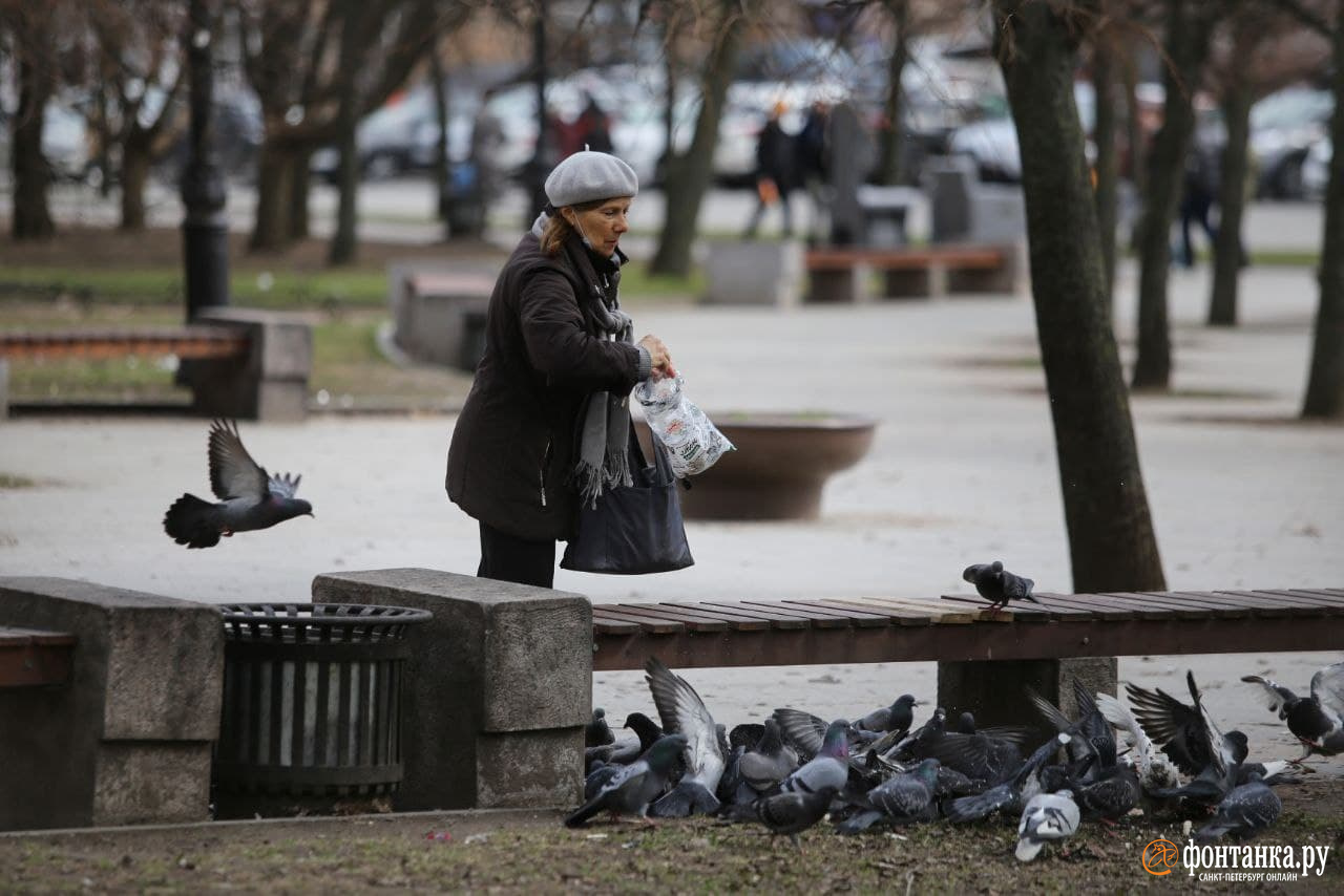 Погода в питере на майские