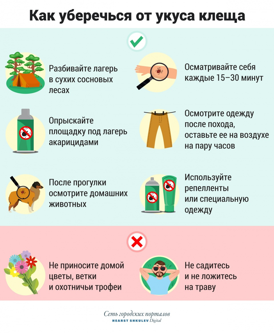 Есть еще несколько эффективных способов защитить себя от укуса клеща Есть еще несколько эффективных способов защитить себя от укуса клеща