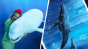 «С китами — релакс»: архангелогородка плавает с морскими обитателями по всему миру и рисует их