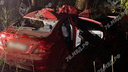 Машину выбросило с трассы: в Ярославской области водитель разбился, столкнувшись с лосем