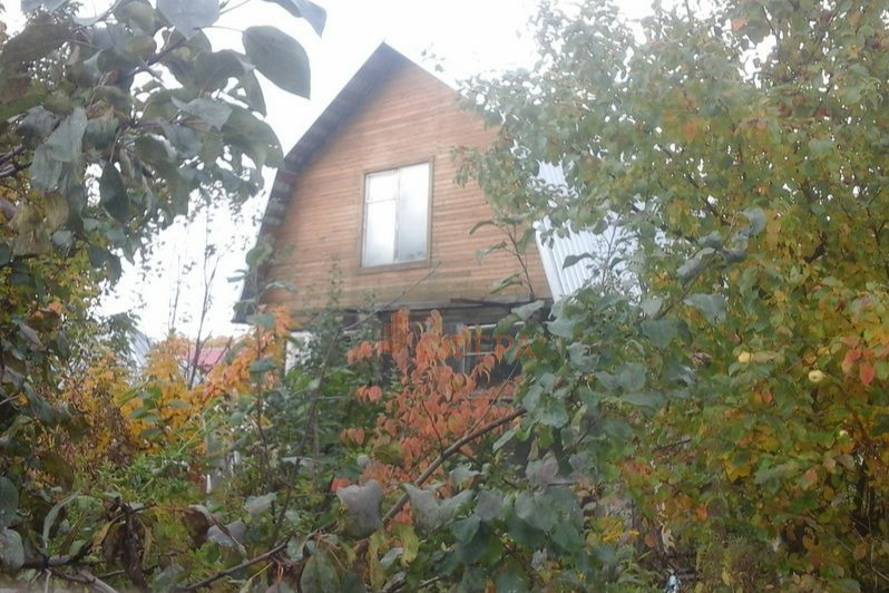 Этот домик прост, но настолько утопает в зелени, а на снимках в объявлении красуются еще и крупные груши, яблони и даже виноград, что мы не смогли пройти мимо Этот домик прост, но настолько утопает в зелени, а на снимках в объявлении красуются еще и крупные груши, яблони и даже виноград, что мы не смогли пройти мимо