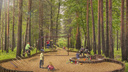 Открытие Заельцовского парка снова перенесли — он станет доступен только летом