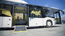 «Мэрии придется платить за перевозку воздуха»: новосибирец протестировал новые автобусы — изучаем плюсы и минусы