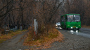 Пешком через лес и кладбище: как мы выбирались из нового района Екатеринбурга, где не хватает транспорта