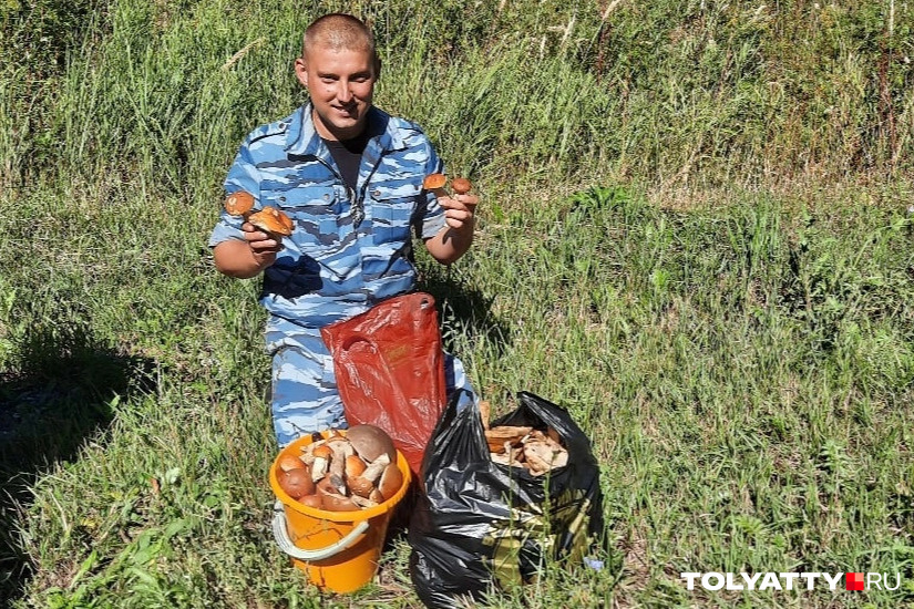 Форум грибников самарской