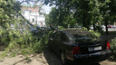 В Ростове упавшее дерево оборвало провода и повредило иномарку. Жилые дома остались без электричества