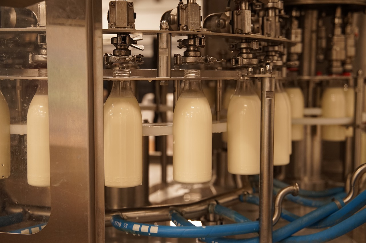 Правила выбора качественных молочных продуктов