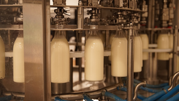 «Почему оно не киснет?»: 10 вопросов про молоко и молочную продукцию, которые волнуют потребителей