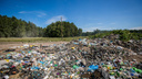 В Новосибирске ликвидируют мусорный полигон у Пашино — территорию хотят озеленить
