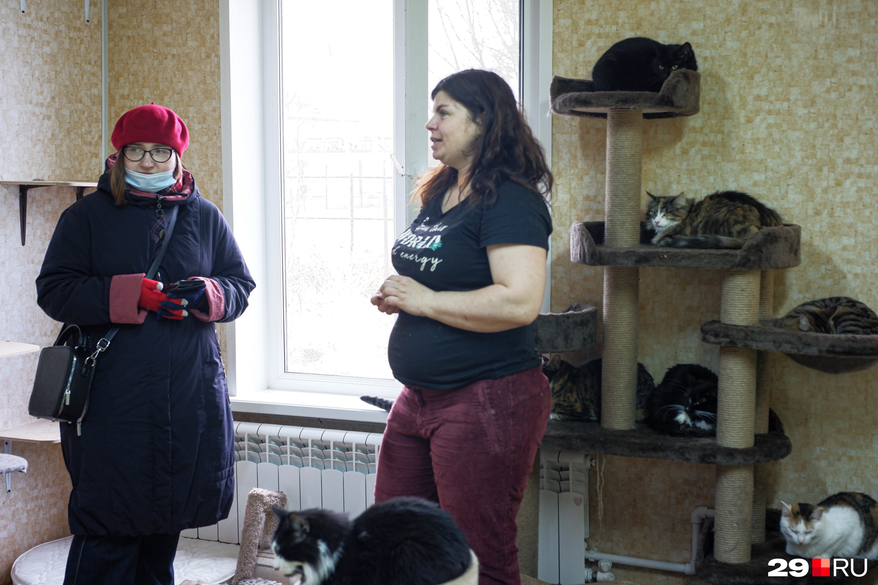 Ольга говорит, что сейчас под крылом приюта находится 250 животных Ольга говорит, что сейчас под крылом приюта находится 250 животных