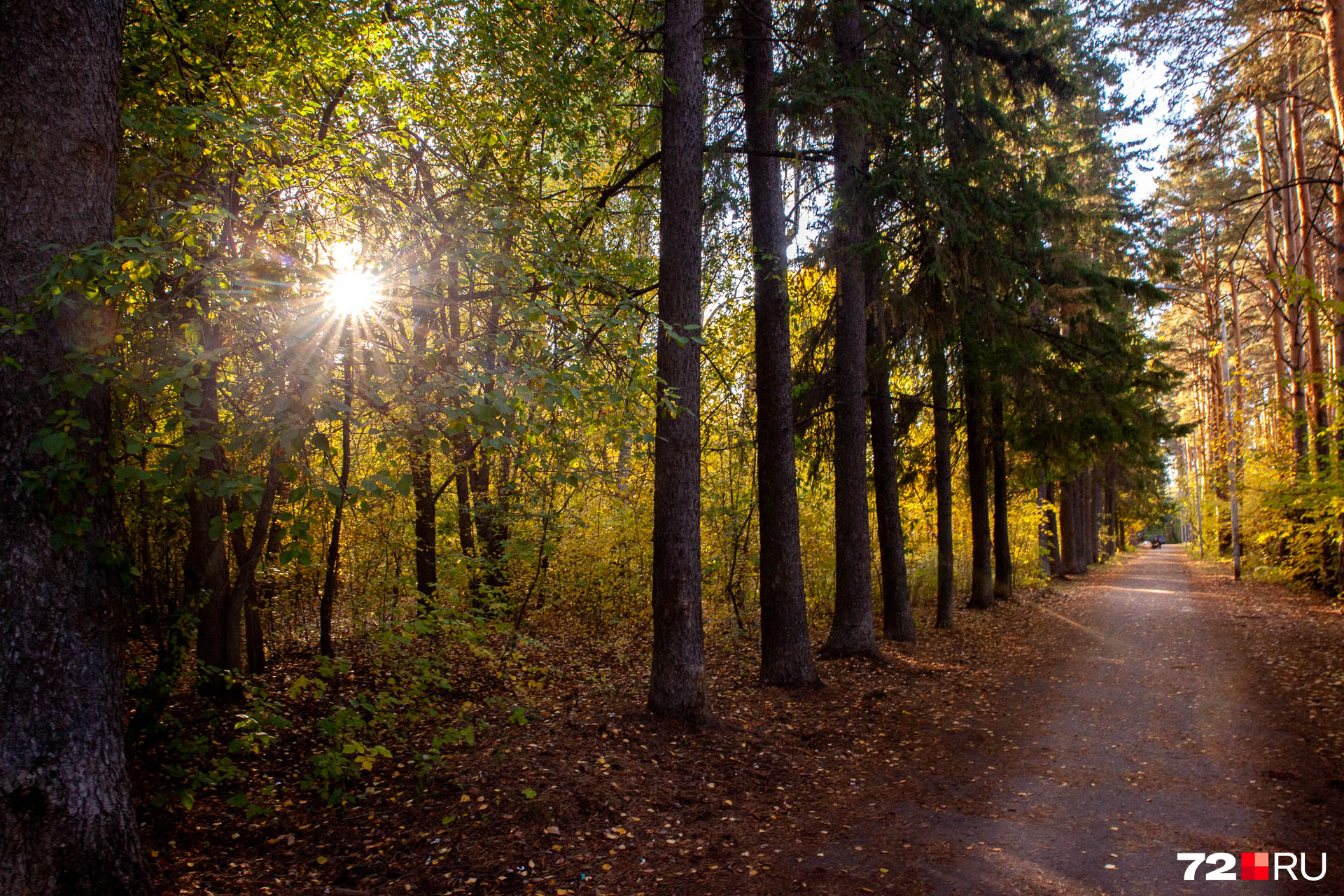 Приятнее всего гулять осенью в солнечную погоду. Еще одно замечательное место для прогулок — парк Оловянникова