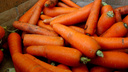 Овощи стали роскошью: в новосибирских магазинах появилась морковь дороже <nobr class="_">200 рублей</nobr>