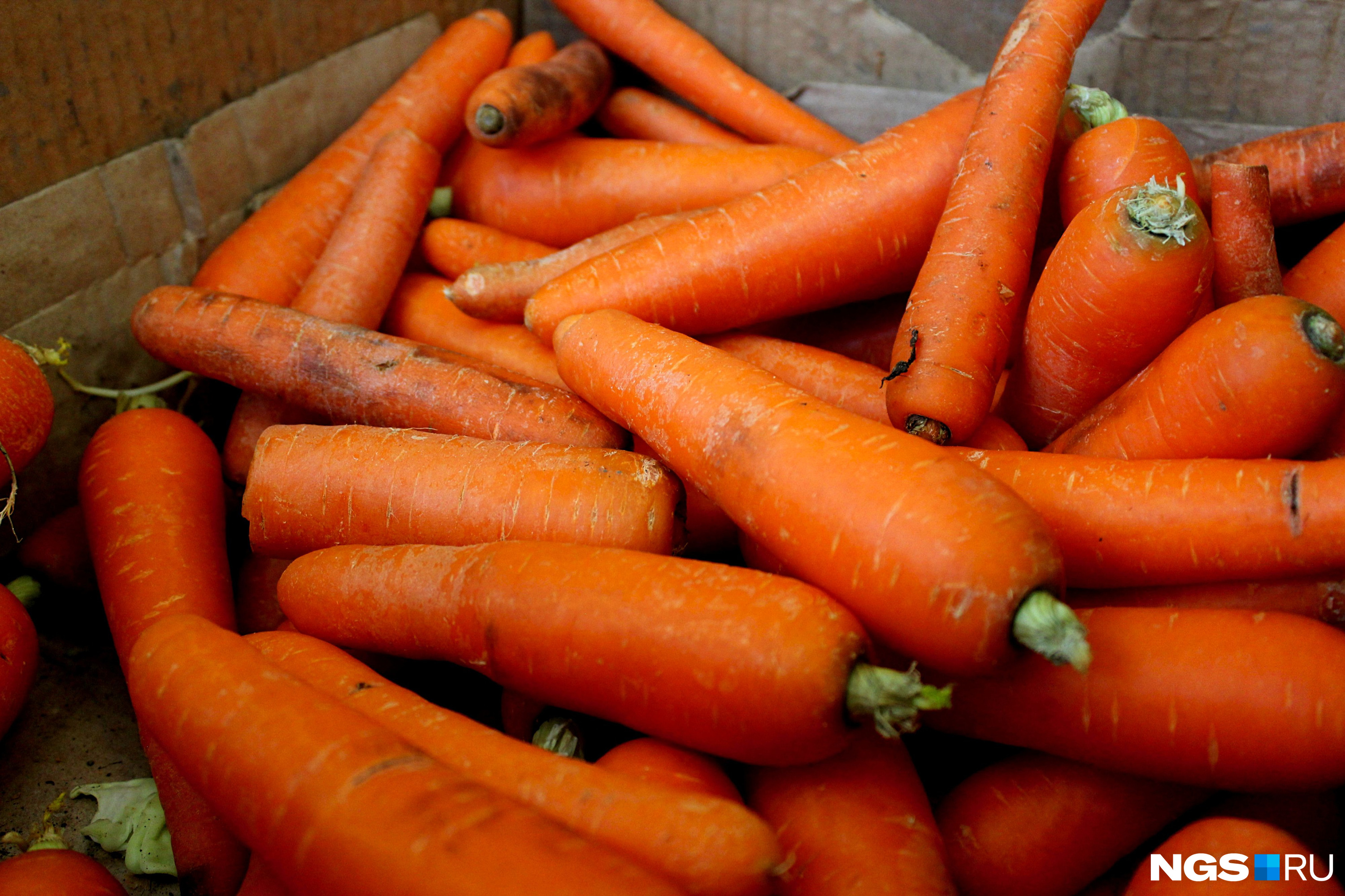 10 килограмм моркови
