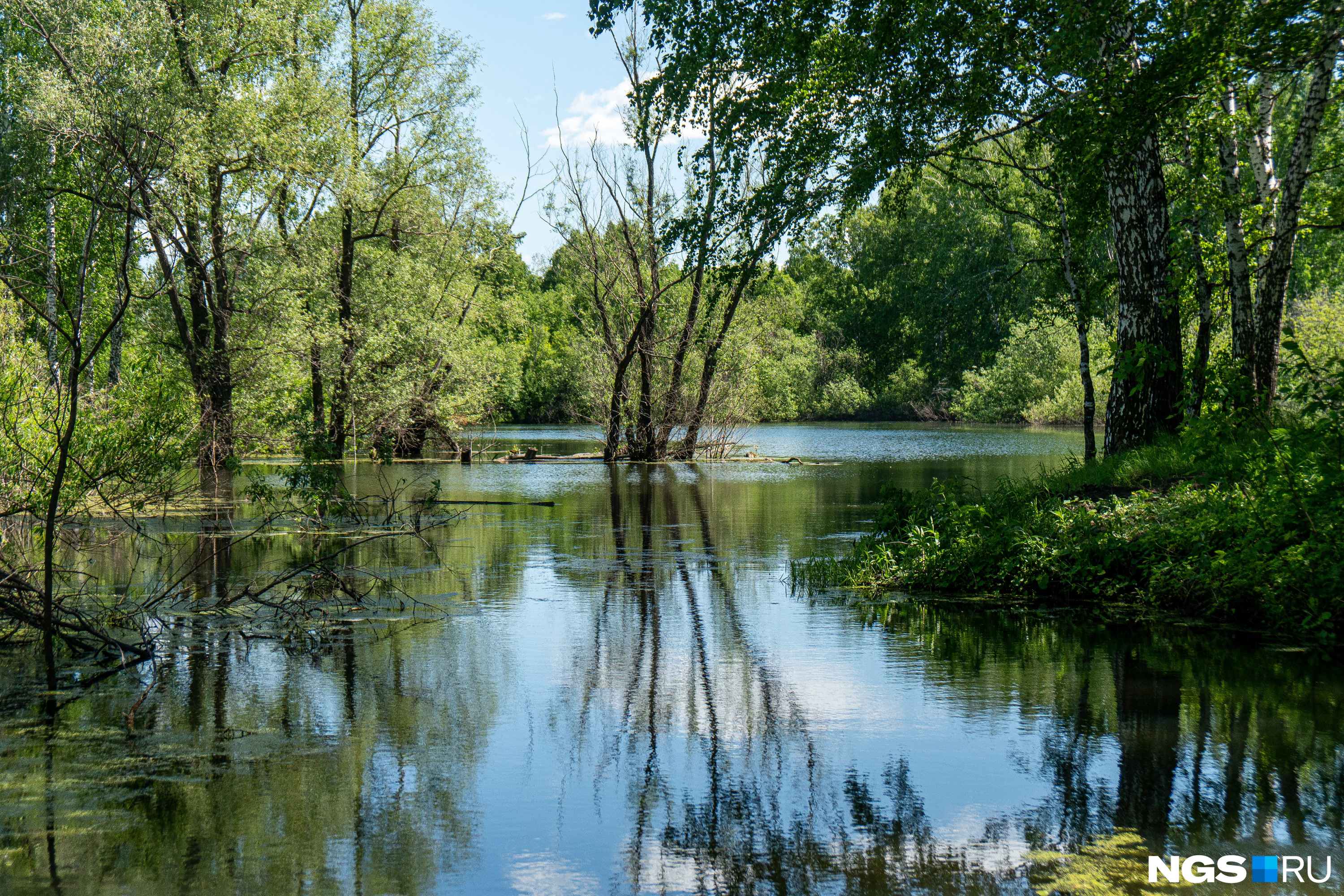 Речка берет начало в небольшом озере рядом с микрорайоном Ключевой — вероятно, ее образуют местные ключи и родники