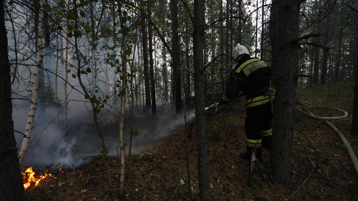 Свердловская область вышла на первое место в стране по числу лесных пожаров. А как было год назад?