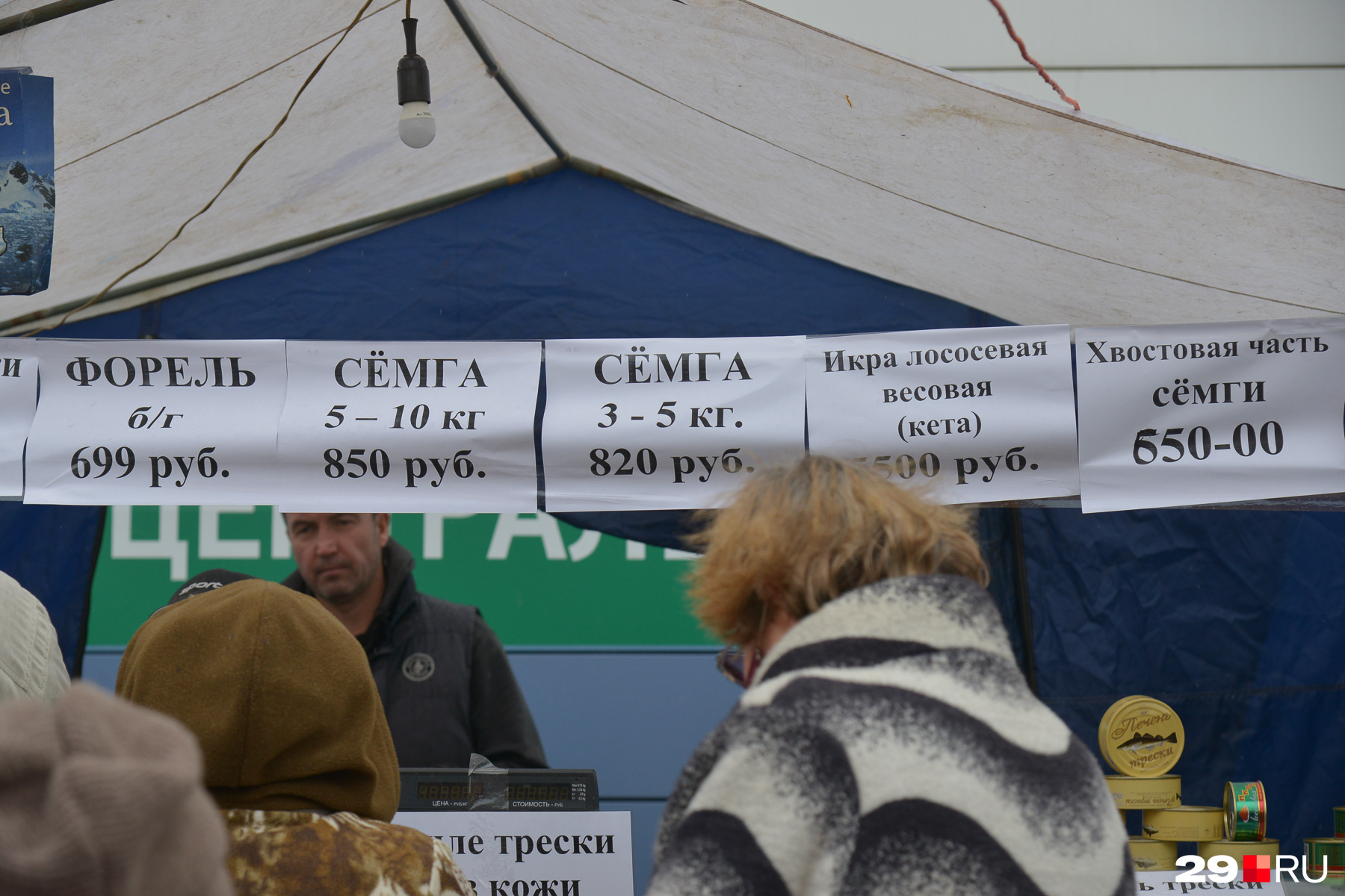 Еще немного про цены на семгу, а также на форель Еще немного про цены на семгу, а также на форель