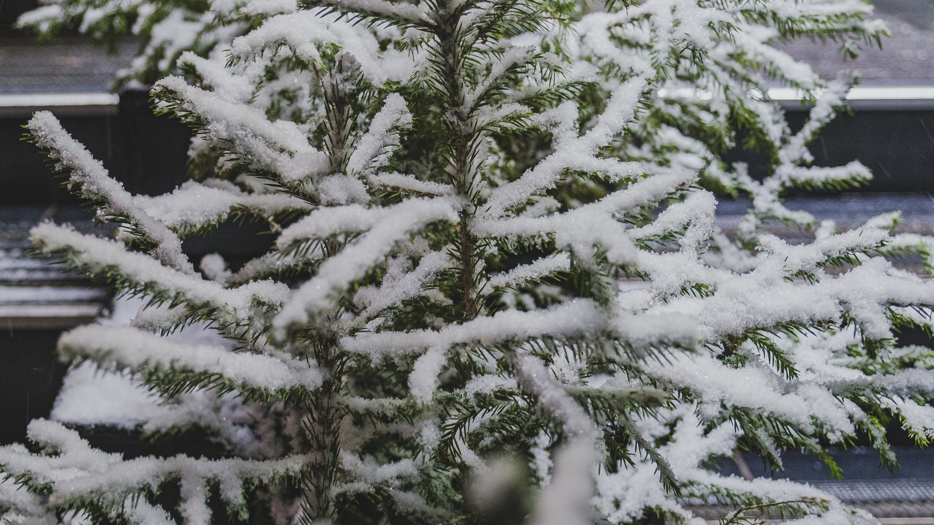 Прогноз погоды на неделе в Прикамье: ожидаются ночные морозы до <nobr class="_">-20 °C</nobr> и снег