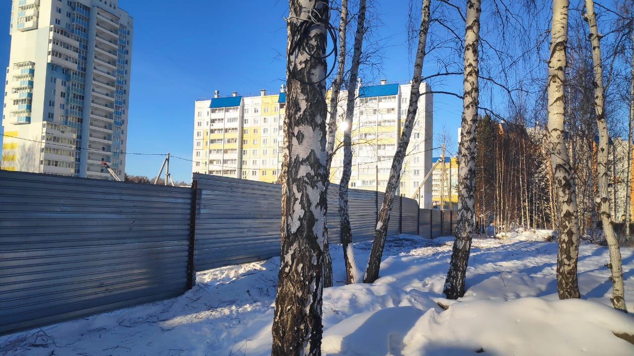 Жители утверждают, что на месте стройплощадки ещё недавно была роща Жители утверждают, что на месте стройплощадки ещё недавно была роща