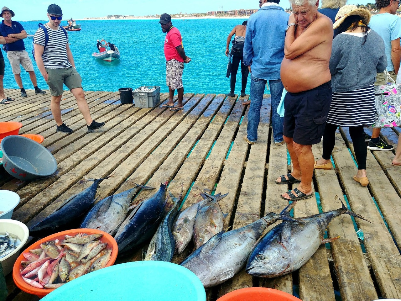 Свежую рыбу купить можно прямо на берегу