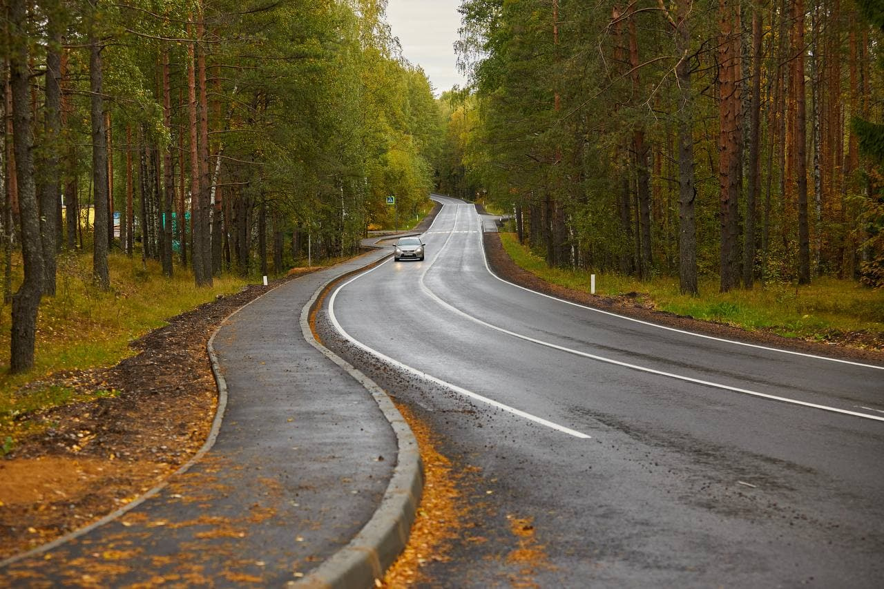 Живописная осенняя дорога в Казань