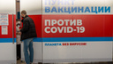 В России первый регион достиг коллективного иммунитета к коронавирусу