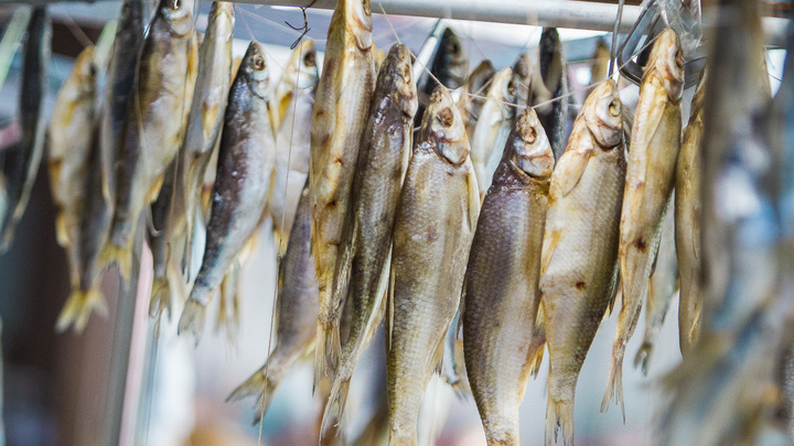 Не только описторхоз: что мы рискуем съесть вместе с рыбой