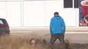 В Северо-Чемском мужчина избил женщину ногами по голове — полиция его ищет