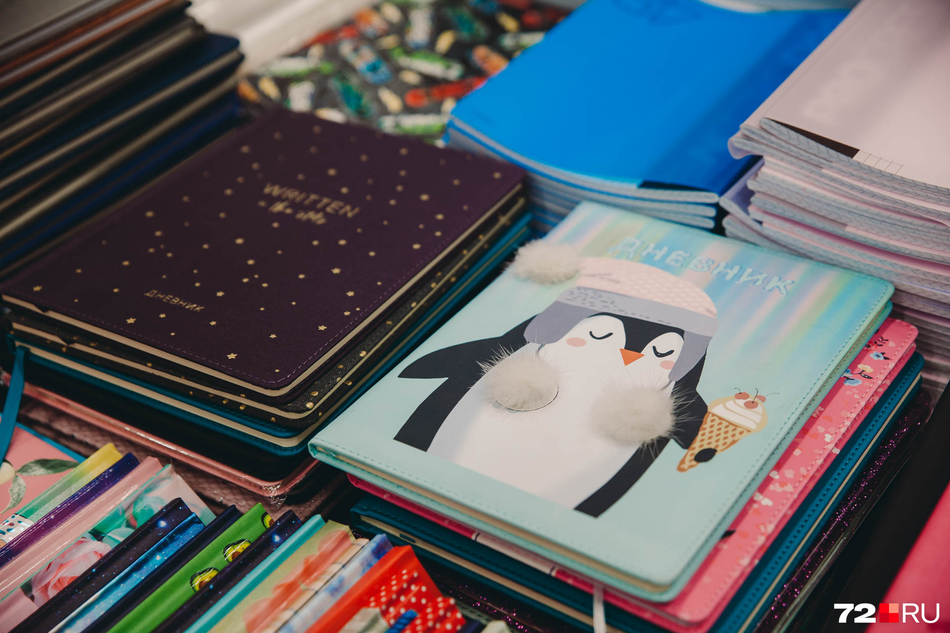 Цена дневника в картонной обложке — 350 рублей
