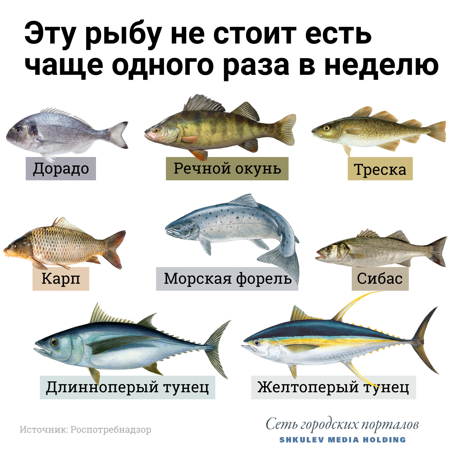 Некоторые виды морской рыбы с высокой калорийностью