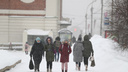 В Новосибирск идут метели — МЧС выпустило экстренное предупреждение