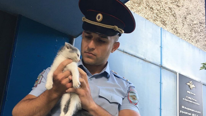 Ставший звездой интернет-мемов красноярский участковый спас от голодной смерти котенка