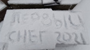 Снегопад и метели в Ростове продлятся <nobr class="_">до 18 января</nobr>