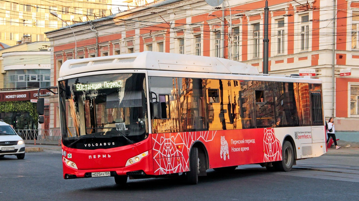 В дни выборов в Перми часть автобусов пустят по расписанию буднего дня. Часть — изменит маршрут