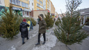 Чиновники попросили челябинцев выбрасывать новогодние елки на мусорки в своих дворах