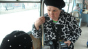 «Сделайте уже по 40 рублей!»: сравниваем стоимость проезда в Екатеринбурге и в других городах