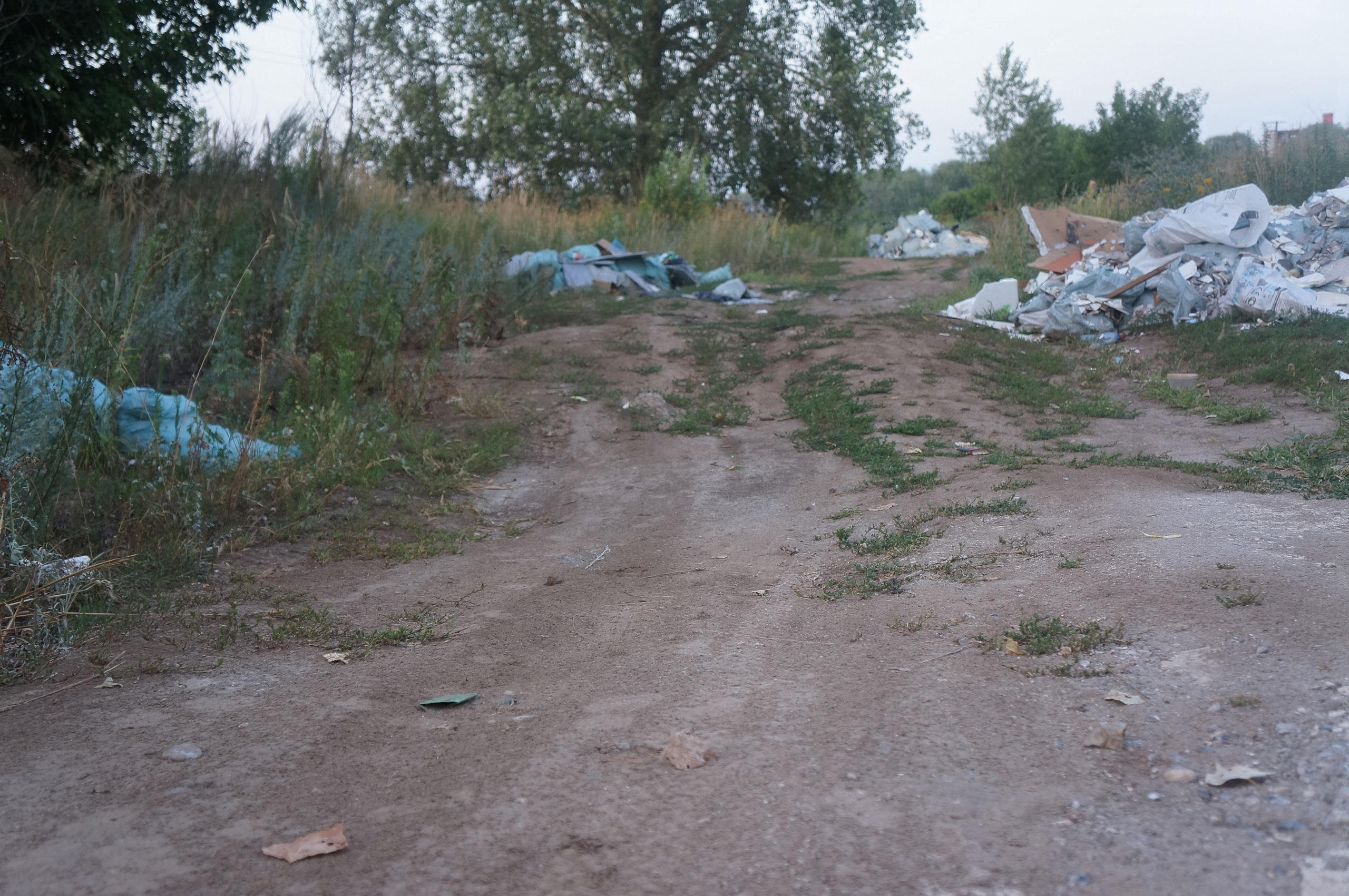 В основном отходы лежат вдоль дороги В основном отходы лежат вдоль дороги
