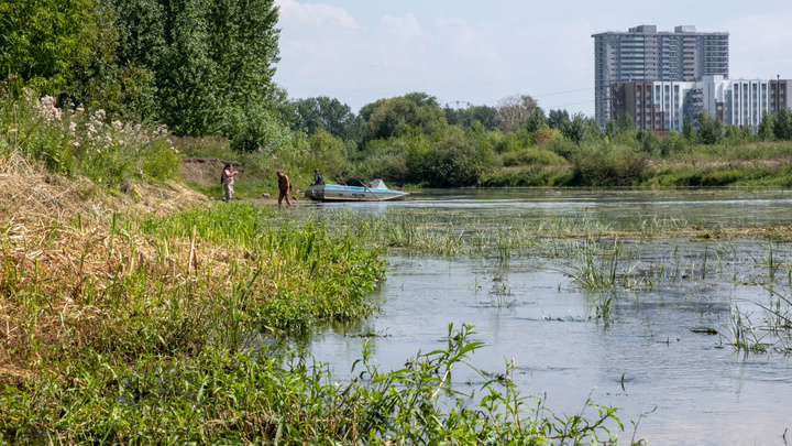 Очисткой реки Миасс в Челябинске займется компания, из-за работы которой возбудили уголовное дело