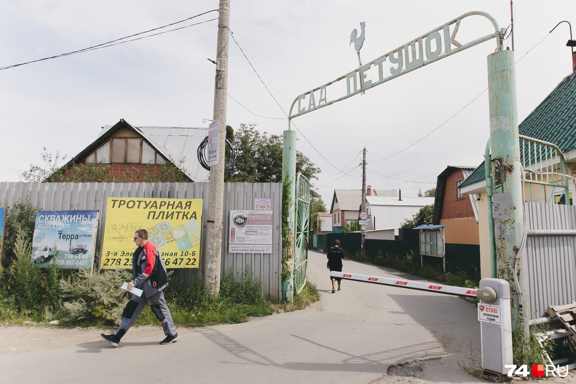 В целом «Петушок» оставляет приятное послевкусие В целом «Петушок» оставляет приятное послевкусие