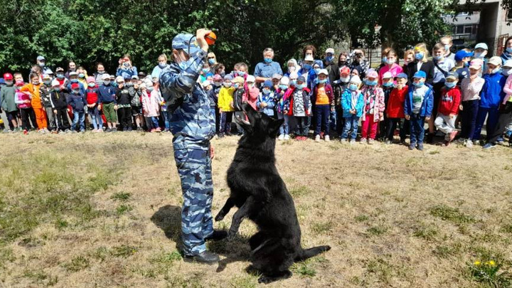 Полицейские собаки устроили шоу для школьников Екатеринбурга