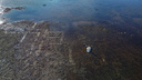 «Из бездны»: фотограф опубликовала снимки показавшейся над водой затопленной Мологи