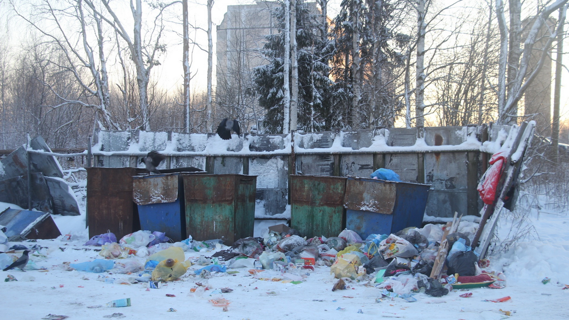 «Подозрение, что нас хотят облапошить»: мысли юриста из Архангельска про новый тариф на вывоз мусора