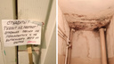 Туалет не работает, в душе — грибок: депутат показал состояние общежития техникума <nobr class="_">в Северодвинске</nobr>