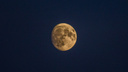 Можно смотреть без телескопа: над Новосибирском пройдет полутеневое лунное затмение