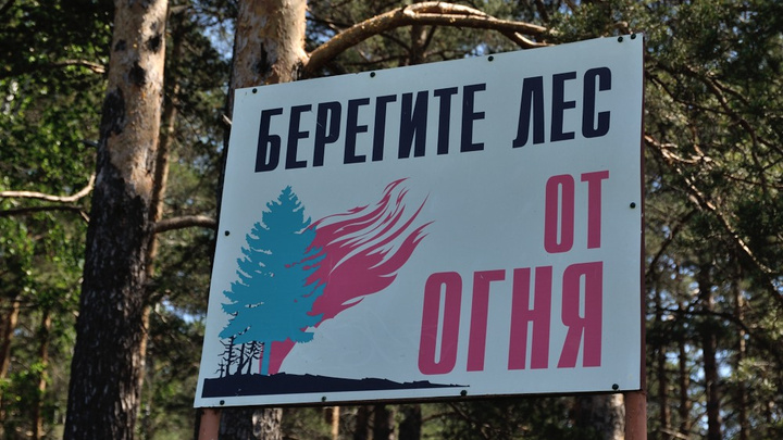 Леса горят, но уже меньше: площадь пожаров в Свердловской области сократилась вдвое