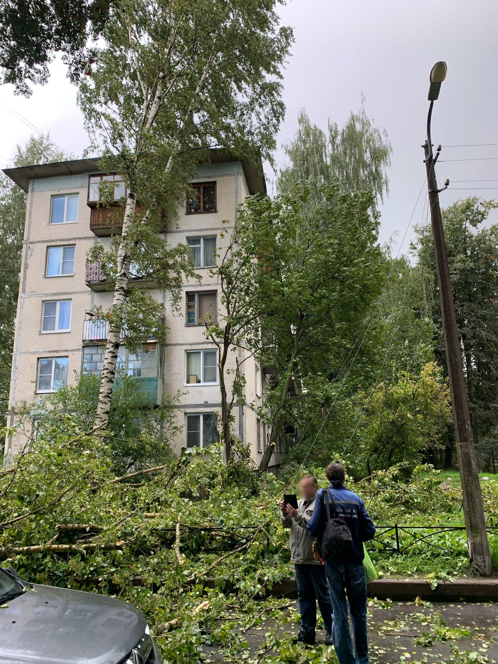 В Петербурге улицы присыпало градом, «как зимой». На Ольги Форш дерево  сдуло на машину - 3 сентября 2021 - ФОНТАНКА.ру