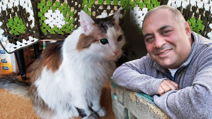 Карен Даллакян и кот Лёша, спасший на пожаре пожилую хозяйку, номинированы в международном конкурсе о животных