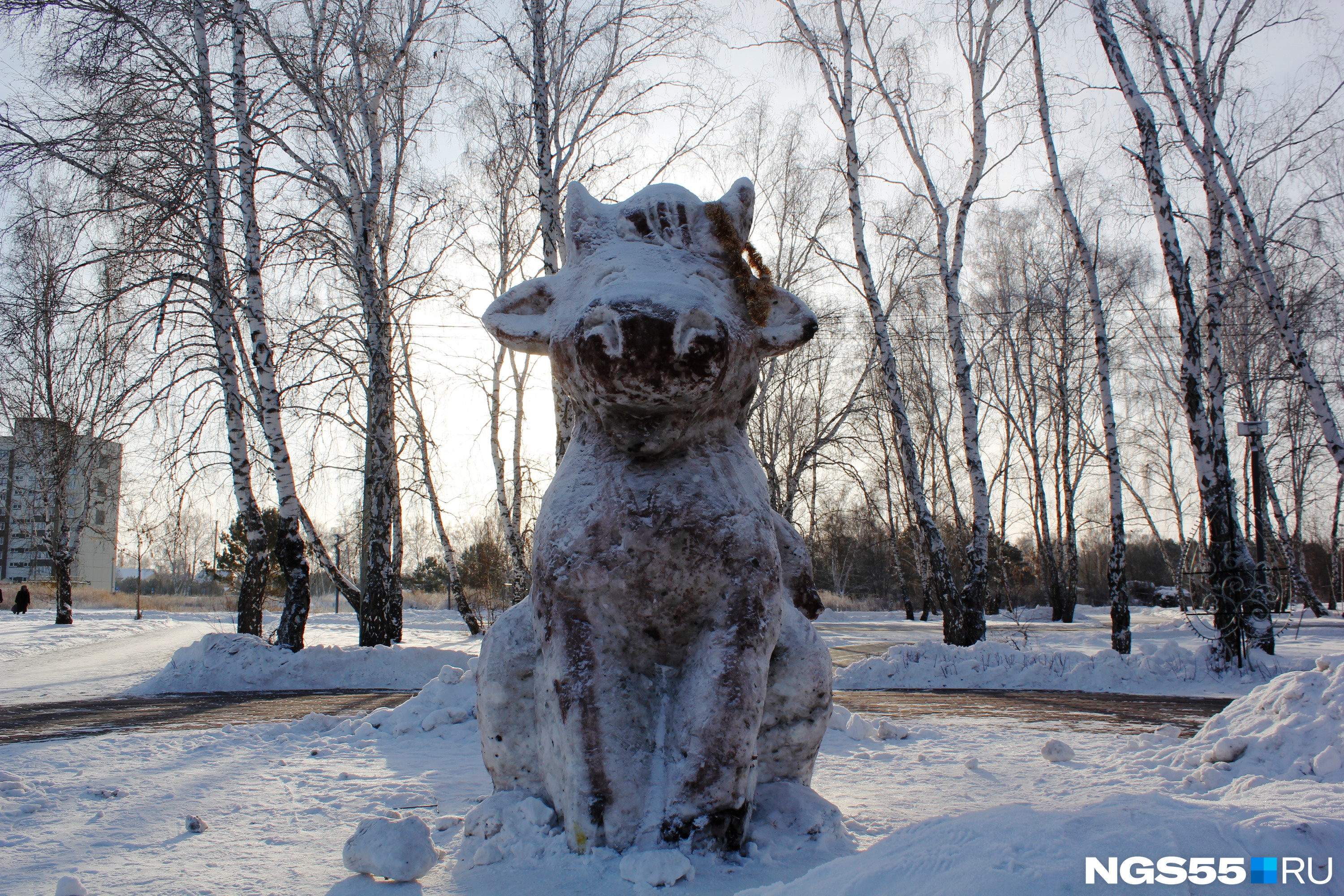 А в стороне от них под снегом притаился счастливый бычок, который пытается изображать собаку. На один из рогов заботливые местные жители повесили мишуру