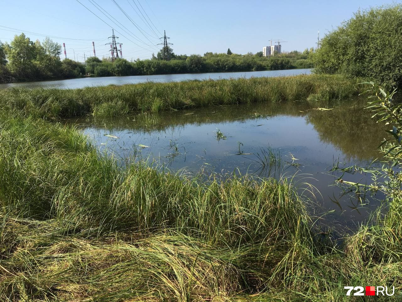 В этом периметре было найдено тело Насти. Это место в двух километрах от ее дома