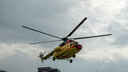 В Новосибирской области экстренно сел санитарный вертолет