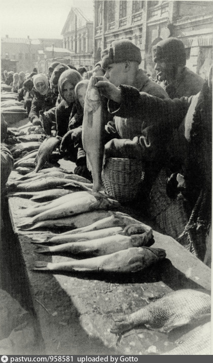 Рыбный промысел особенно процветал на Дону
